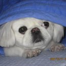 무지개목욕탕 이미지