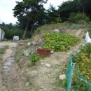 마동 탑마을 이미지