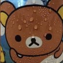 에스디인포 | 금발하고 여행하면 관심 많이 받음