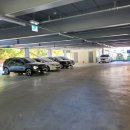 나래스포츠 이미지