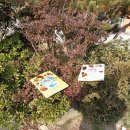 금호숲속어린이집 이미지