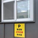 멍꼬미 이미지