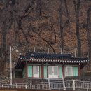 새천년해안유원지비치조각공원 Daum카페