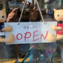 별이와콩이 이미지