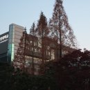 용인대학교 이미지