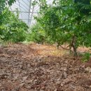 (주)환경21