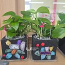 수원초등학교 | [찾아오는 체험학습]수원 남수원 초등학교 특수학급 - 업사이클링 공예 바다유리 숯화분에 식물심기...