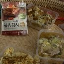 포라이프센타 | 치앙마이 코끼리보호소,반캉왓+싼티탐🐘🐘(feat.서프라이즈 남 출현)