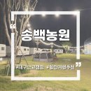 송백로-1 네이버블로그