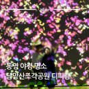 남망산공원 | 통영야경 명소 통영 디피랑 남망산조각공원 뜻 시간 주차장 꿀팁 예매 할인 총정리