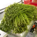 달곡농장 이미지