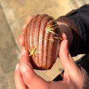 땡큐 | 서울대입구역 버터떡 맛집 아임파인땡큐 후기