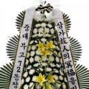 봉현로 72 Daum카페