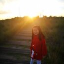 배곧생명공원 이미지