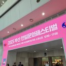 한일자원 | [방문일기/대외활동] 2025 부산 한일문화축제 대학생 자원봉사자 생생후기