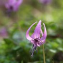 연가리맑은터 이미지