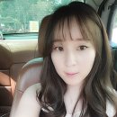 헤어하리 이미지