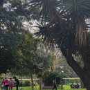 하노이포(HA NOI PHO) 이미지