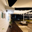 옐로우연화 이미지