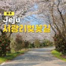서광리-26 네이버블로그