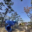 캠토토스트(포항중앙점) | 경주 감포송아카라반펜션 ㅣ 오류고아라해변 바로 앞 깨끗한 카라반 내돈내산 후기