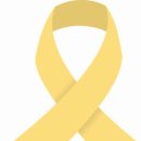 팀베스트최고체육관(유림관) 이미지