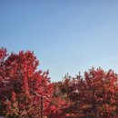 배봉사 | JTBC 서울마라톤 서포터즈 물품보관소 자원봉사 후기