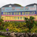 도내흑염소 이미지