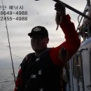 오산항낚시터 이미지