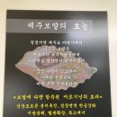 보말삼춘 이미지