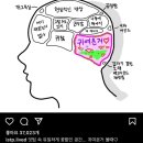 구만리농장 | 6월 4주차 주간일기X 주간포토덤프O