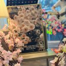 신생세탁소 이미지