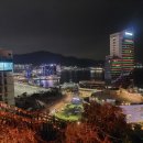 나무애그림 이미지