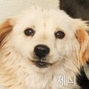 율하우리동물약국 이미지