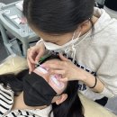 (주)아침정보기술 | 대구속눈썹학원 3교대근무자 수강후기 (시간표, 수강료 정보)