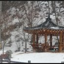 삼거리목장 이미지