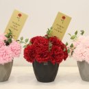 부흥중학교 정문 앞 이미지