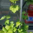 명륜역 1번출구 이미지