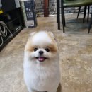 오도독뽀도독 이미지