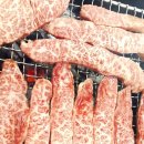 사지목 나무그늘 이미지