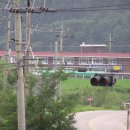 광판중학교 이미지