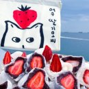 여수한증막 이미지