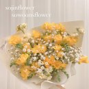 후리지아 이미지