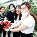 세종방역공사 - 세종특별자치시 갈매로 353 | 세종방역공사