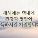 서리풀한의원 이미지