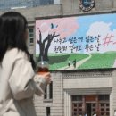 미스터컵 이미지