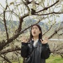 대화농장 이미지