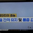 연골과 관절건강을 동시에 잡는"콘드로이친" 이미지