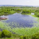 금강공원4 이미지