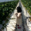 채은농장 이미지